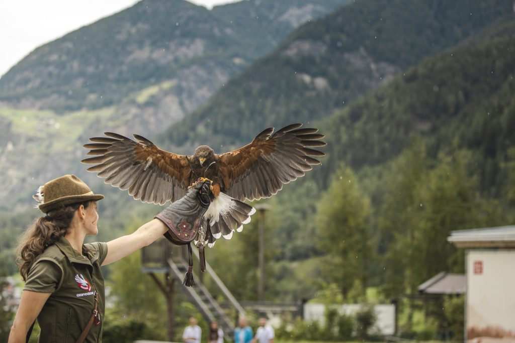 umh_greifvogelpark_Oetztaljpg